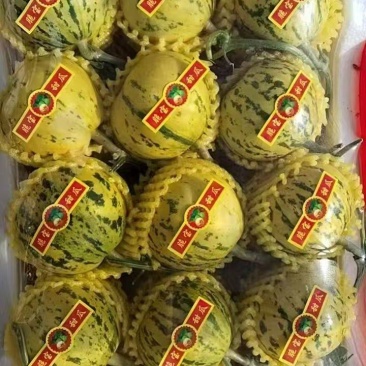 【重磅推荐】花美人甜瓜/花蕾甜瓜/产地直发/量大从优