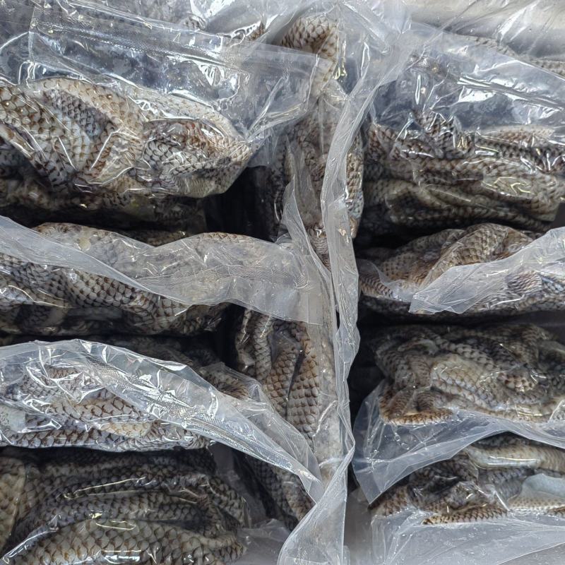 清水鱼皮泡椒鱼皮原料