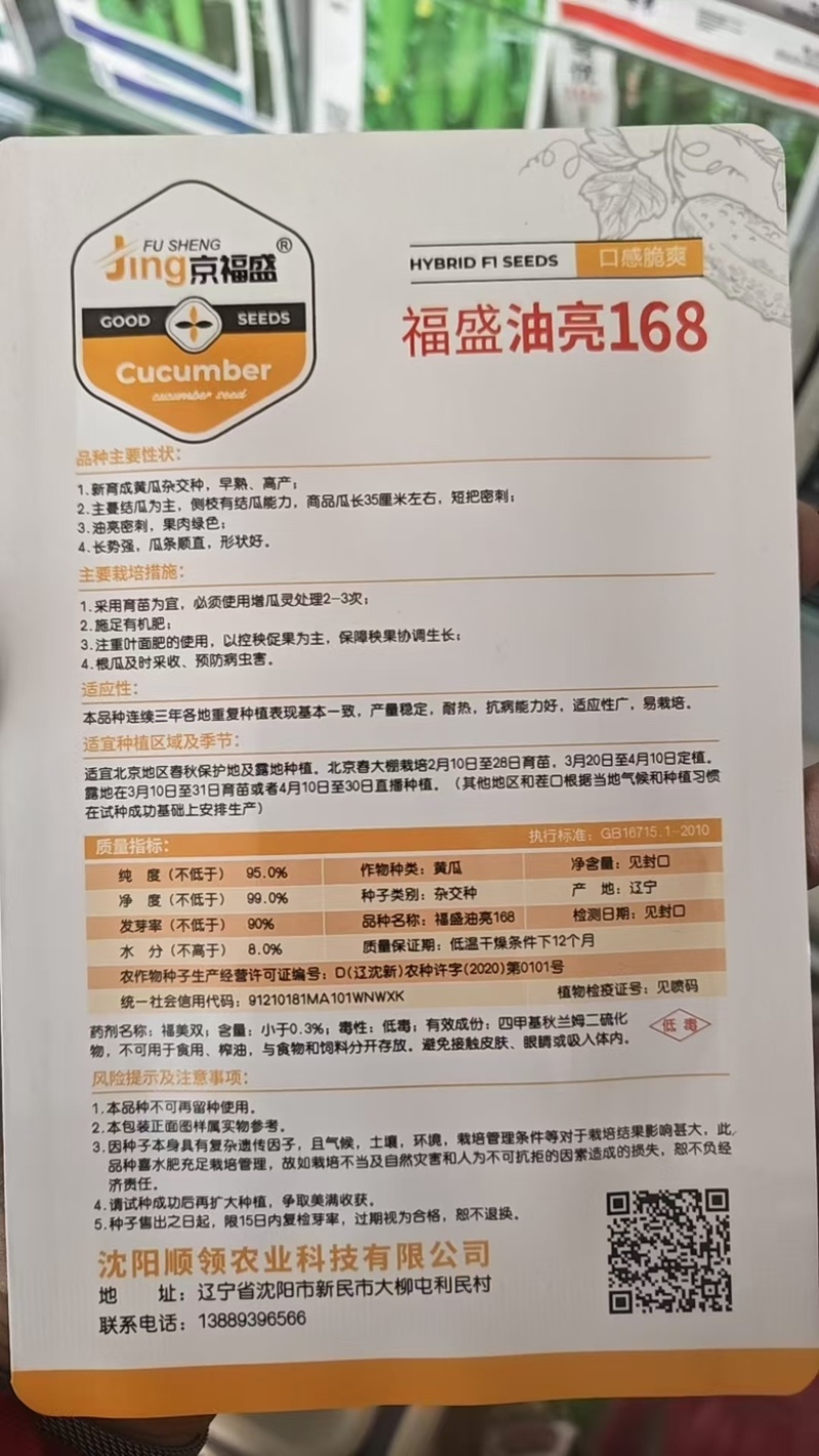 耐热黄瓜种子越夏密刺黄瓜种子油亮型短把强雌性黄瓜种子