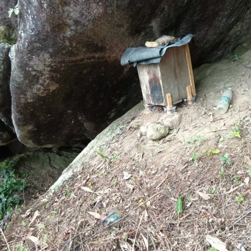 广西土蜂蜜深山土蜂蜜无任何掺假不比价格只看品质农户直销