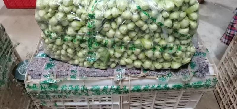 【推荐】曹县上海青产地直发，质量保证质量三包