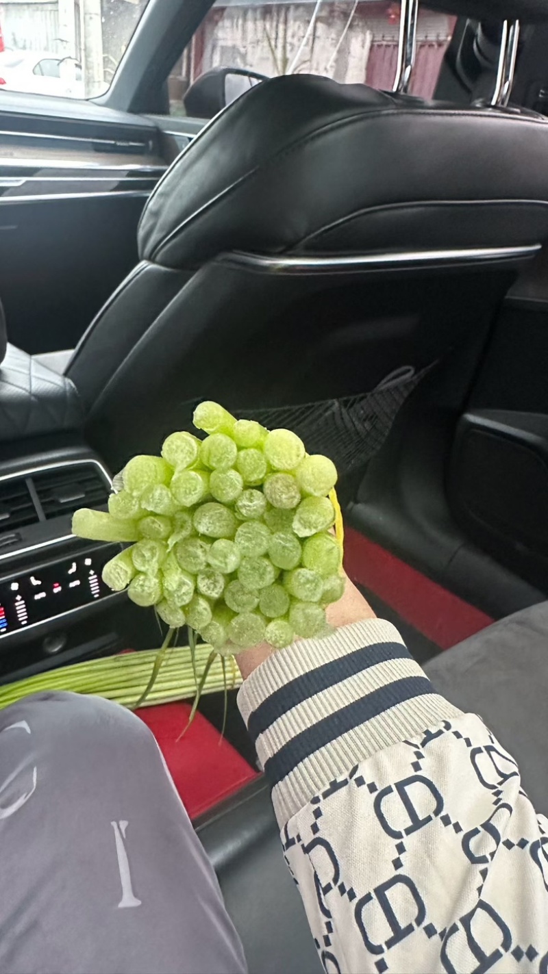 四川蒜苔，白帽蒜苔，产区直发，大量上市。