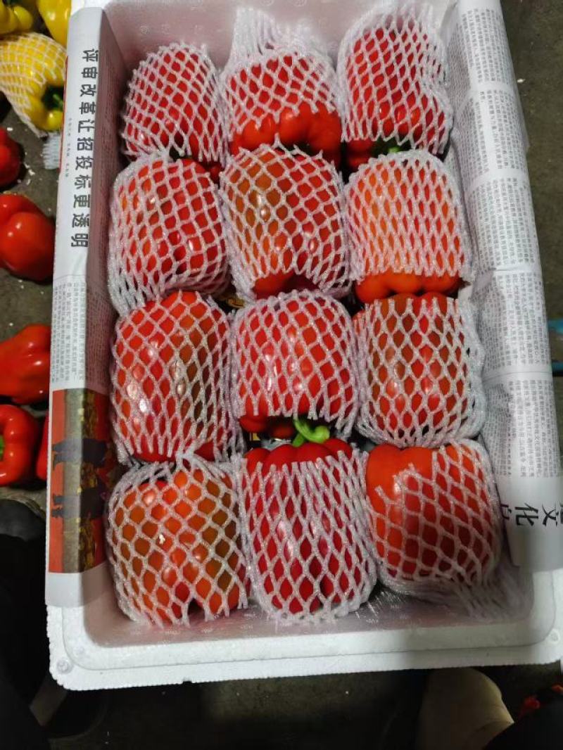 精品五彩椒，红椒，产地直发货源充足，品质保证，欢迎各地