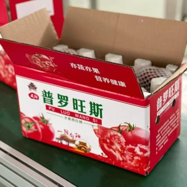 陕西普罗旺斯水果西红柿基地直发保质保量