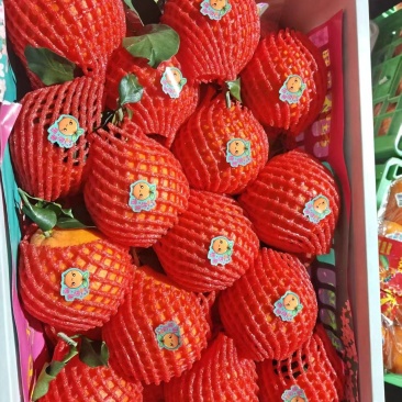 爱媛果冻橙