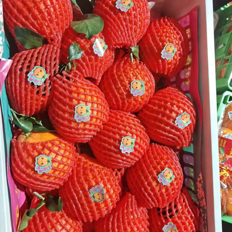 爱媛果冻橙