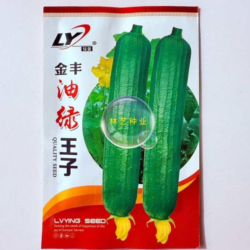 金丰油绿王子油亮香丝瓜种籽杂交早熟品质好白籽丝瓜种子春夏