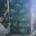 云南精品蚕豆，胡豆大量供应市场，超市，电商，社区团购