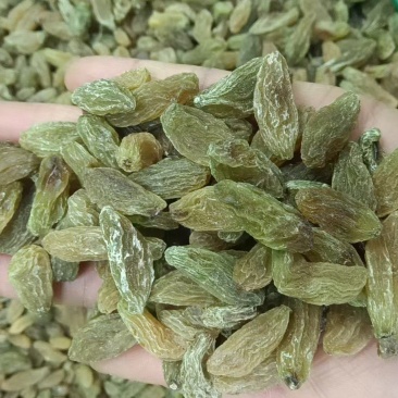 新疆吐鲁番绿香妃