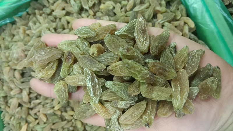 新疆吐鲁番绿香妃