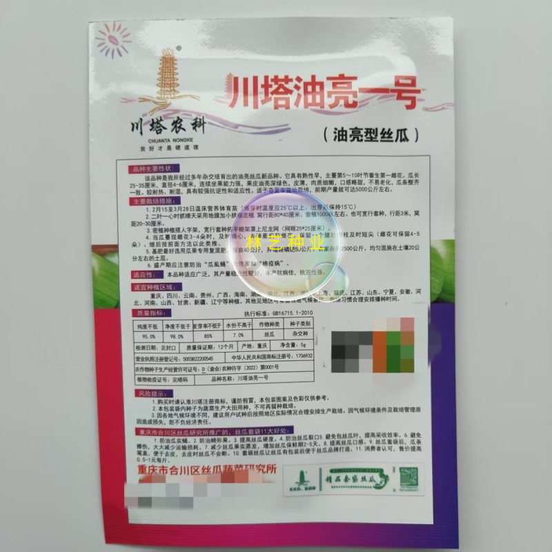 川塔油亮一号丝瓜种子早熟油亮型丝瓜皮薄肉质细嫩产量高好吃