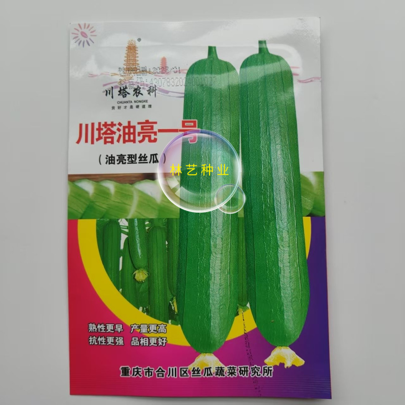 川塔油亮一号丝瓜种子早熟油亮型丝瓜皮薄肉质细嫩产量高好吃