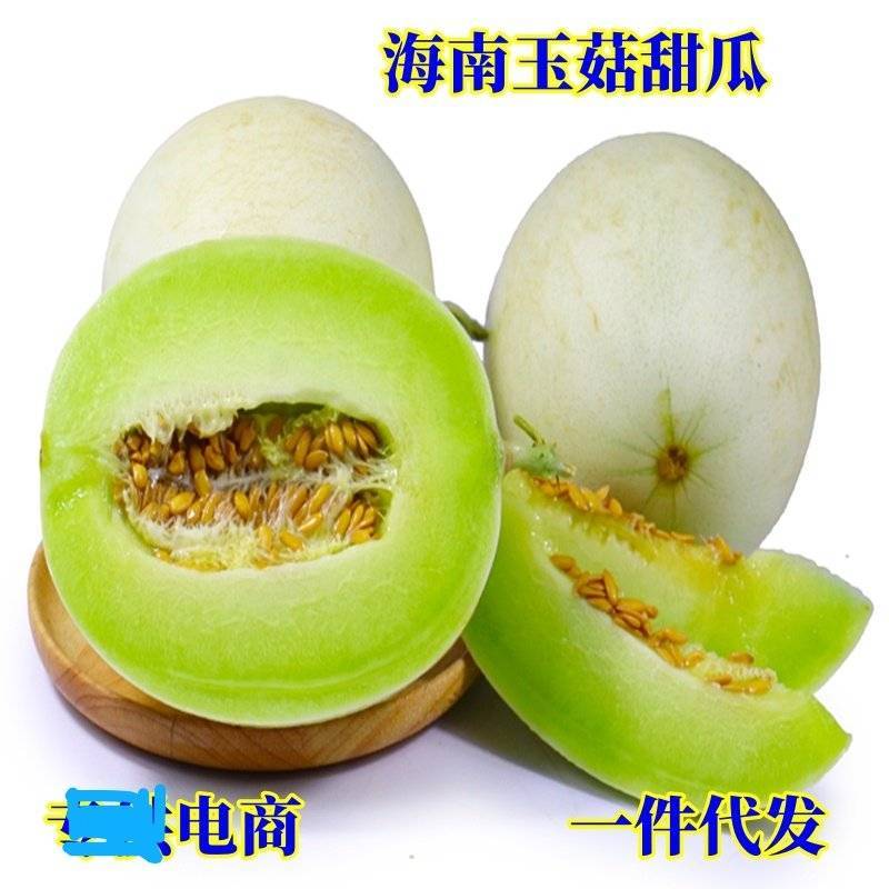 海南玉菇甜瓜对接电商一件代发专业供应链供直播等各大平台