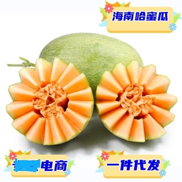 海南哈密瓜专业供应链一件代发供应电商各大平台直播等等