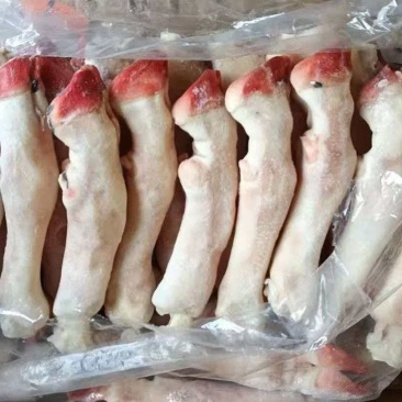 水退羊蹄