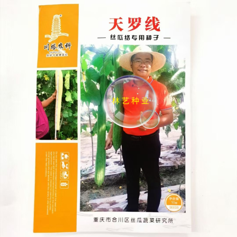 天罗线丝瓜络种子丝瓜种籽刷锅洗碗专用丝瓜络专用蔬菜种孑