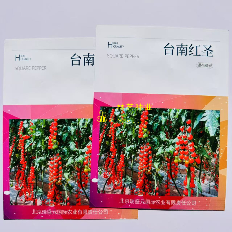 台南红圣小番茄种籽瀑布圣女果种子早熟无限生长型含糖高香甜