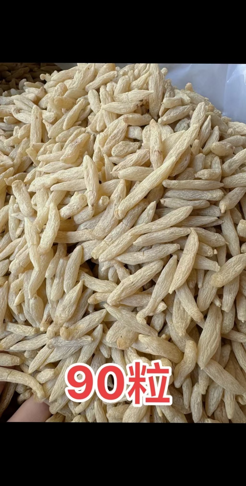 中药材麦冬