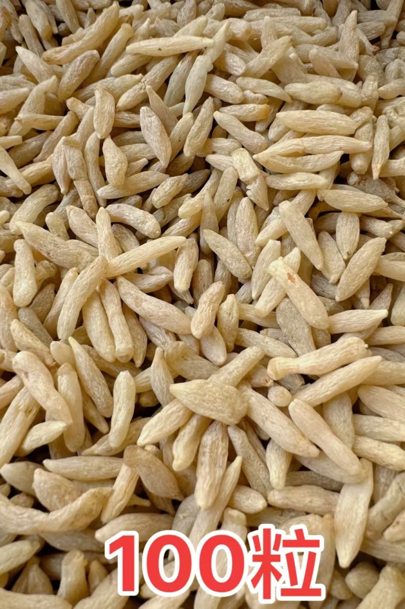 中药材麦冬