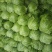 新鲜甘蓝白菜