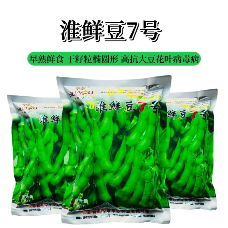 淮鲜7号毛豆种子早熟高产口感香甜柔糯大粒饱满抗病