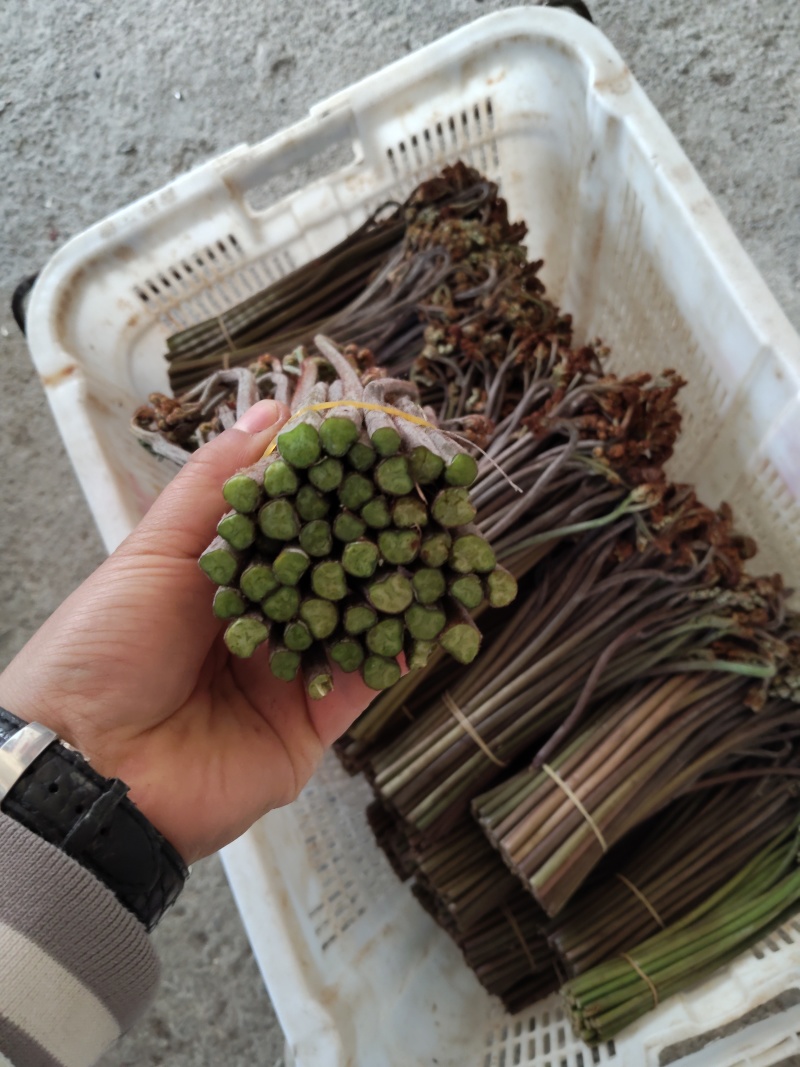支持如何包装需要的来