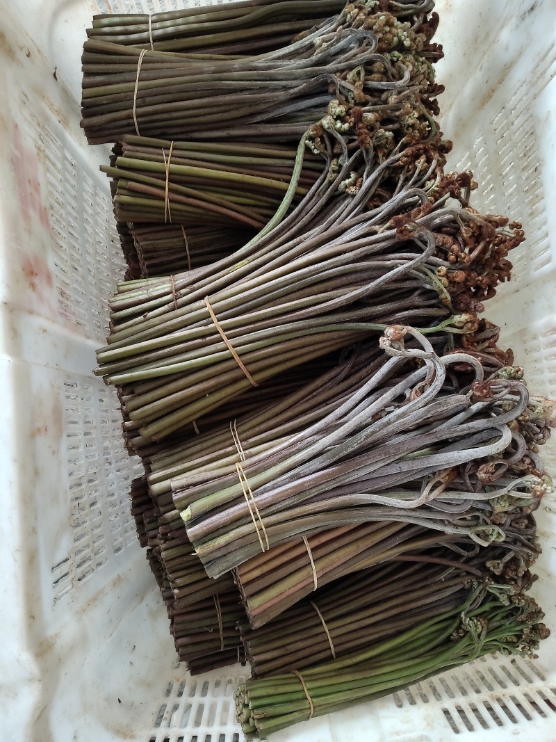 支持如何包装需要的来