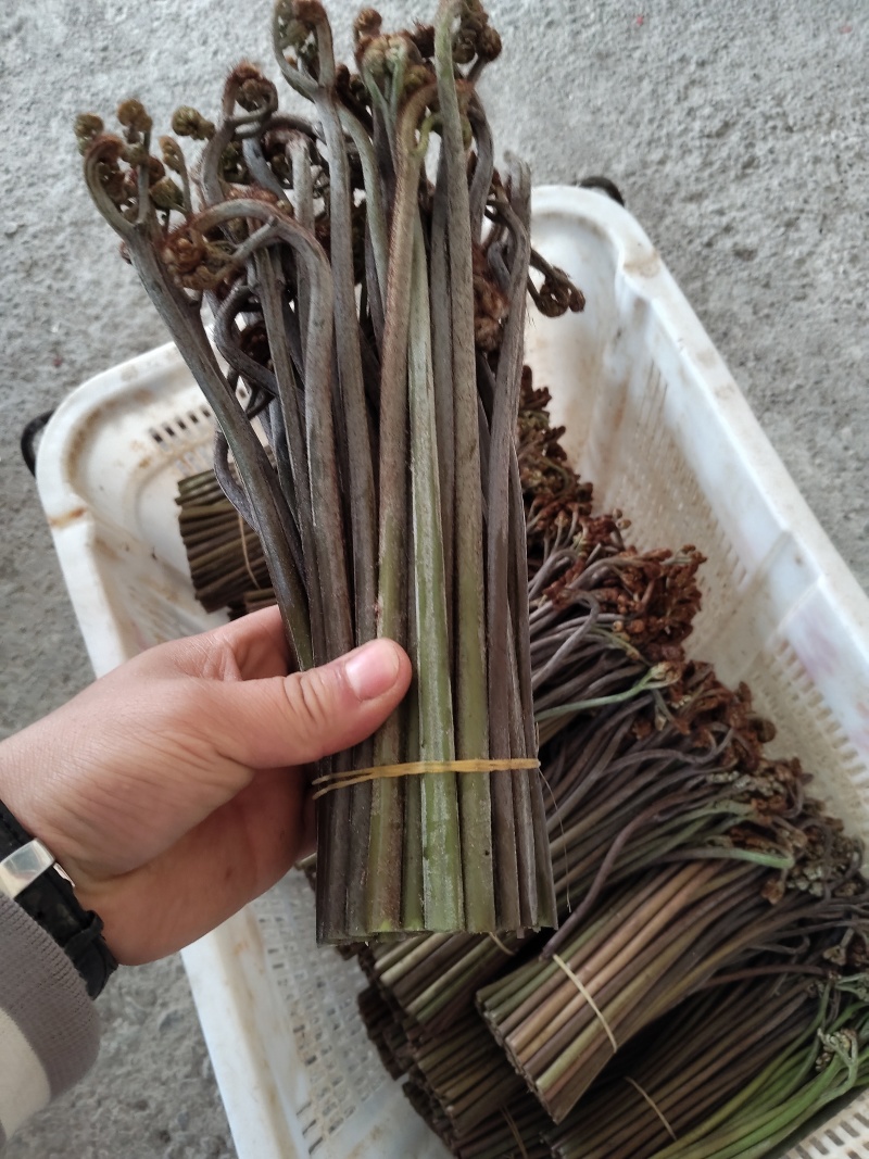 支持如何包装需要的来