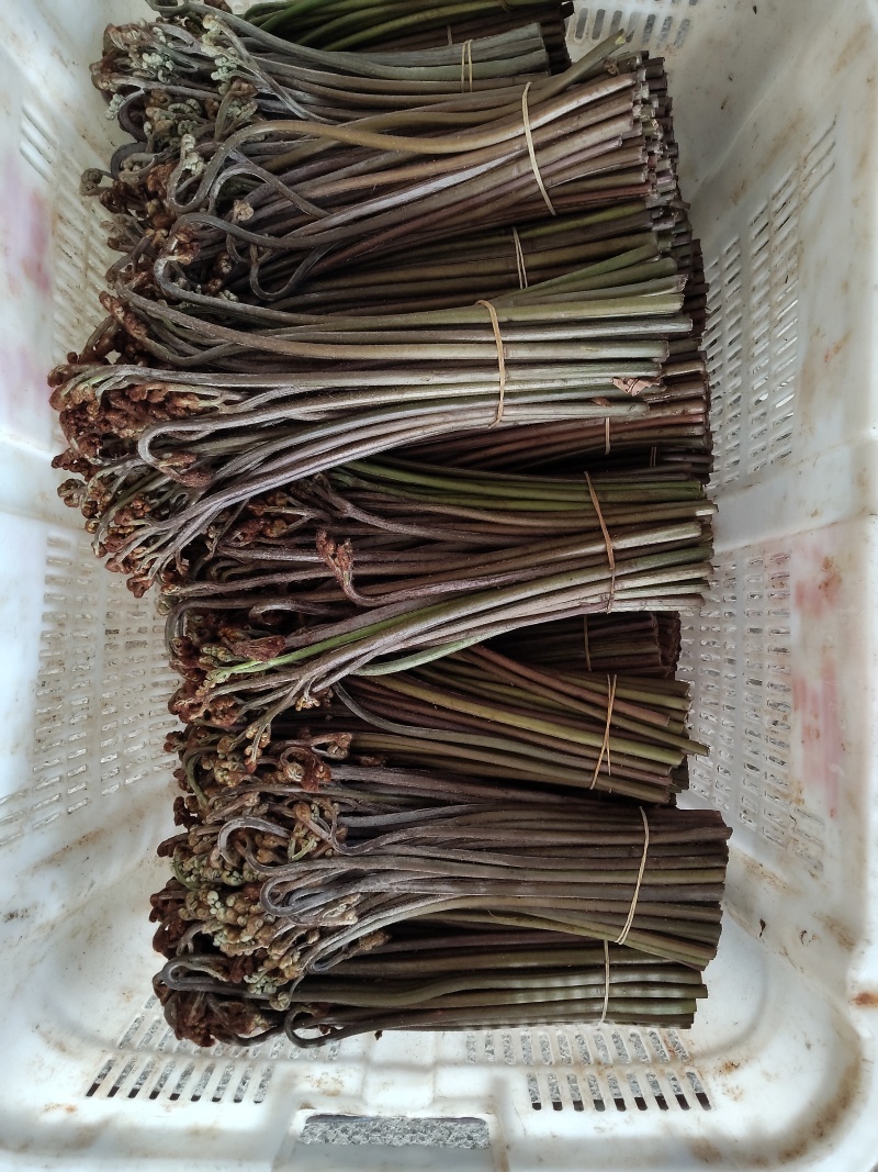 支持如何包装需要的来