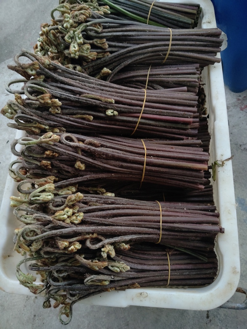 支持如何包装需要的来