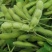 淮鲜豆7号早熟毛豆种子菜用甜毛豆种籽大青豆