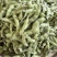 淮鲜豆7号早熟毛豆种子菜用甜毛豆种籽大青豆