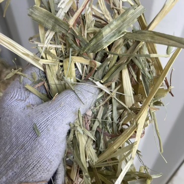 进口羊草料牛草料马草料