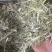 进口羊草料牛草料马草料