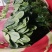 大叶菠菜