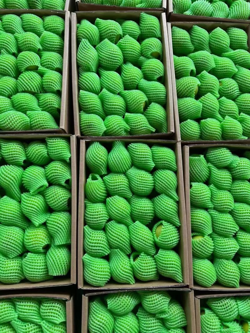 苹果枣