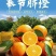 奉节脐橙
