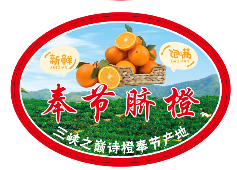 奉节脐橙