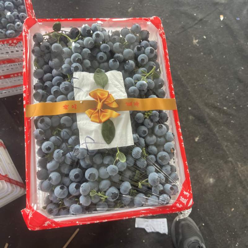 山东蓝莓大量上市，价格不高需要的联系