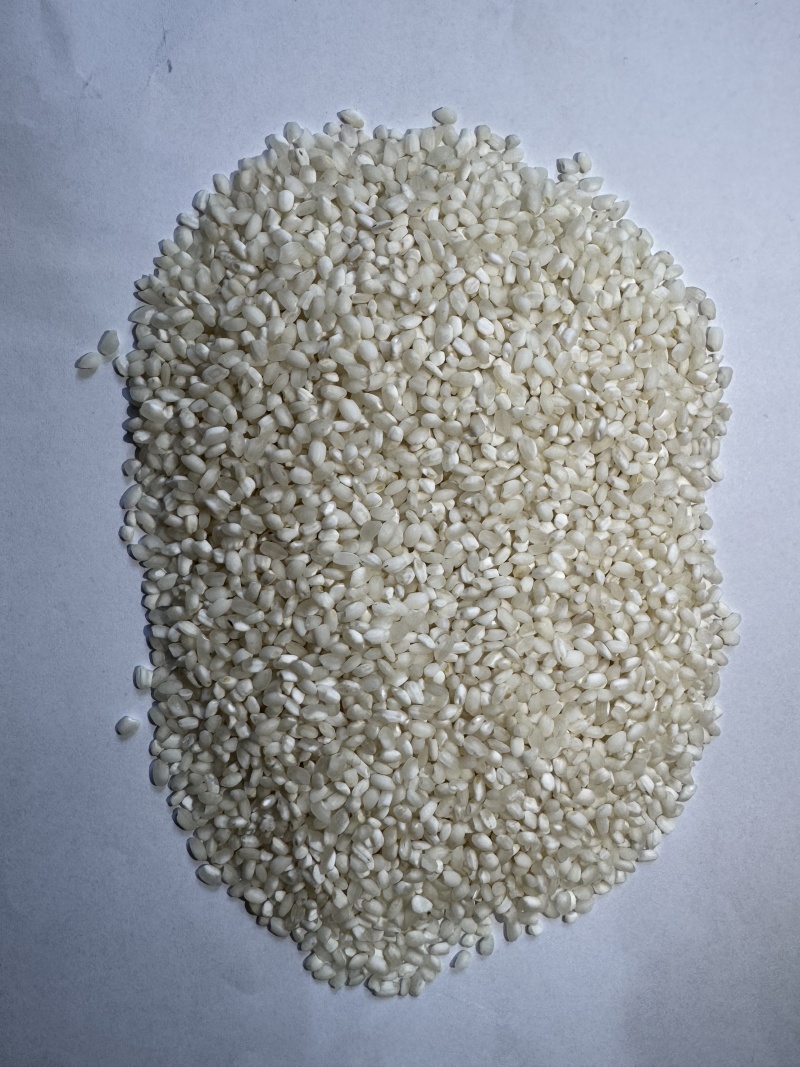 腹白米