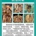 鑫星10%噻唑磷撒施颗粒剂噻唑膦黄瓜根结线虫专用杀虫剂