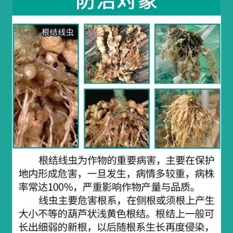 鑫星10%噻唑磷撒施颗粒剂噻唑膦黄瓜根结线虫专用杀虫剂
