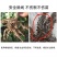鑫星10%噻唑磷撒施颗粒剂噻唑膦黄瓜根结线虫专用杀虫剂