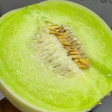 玉菇甜瓜