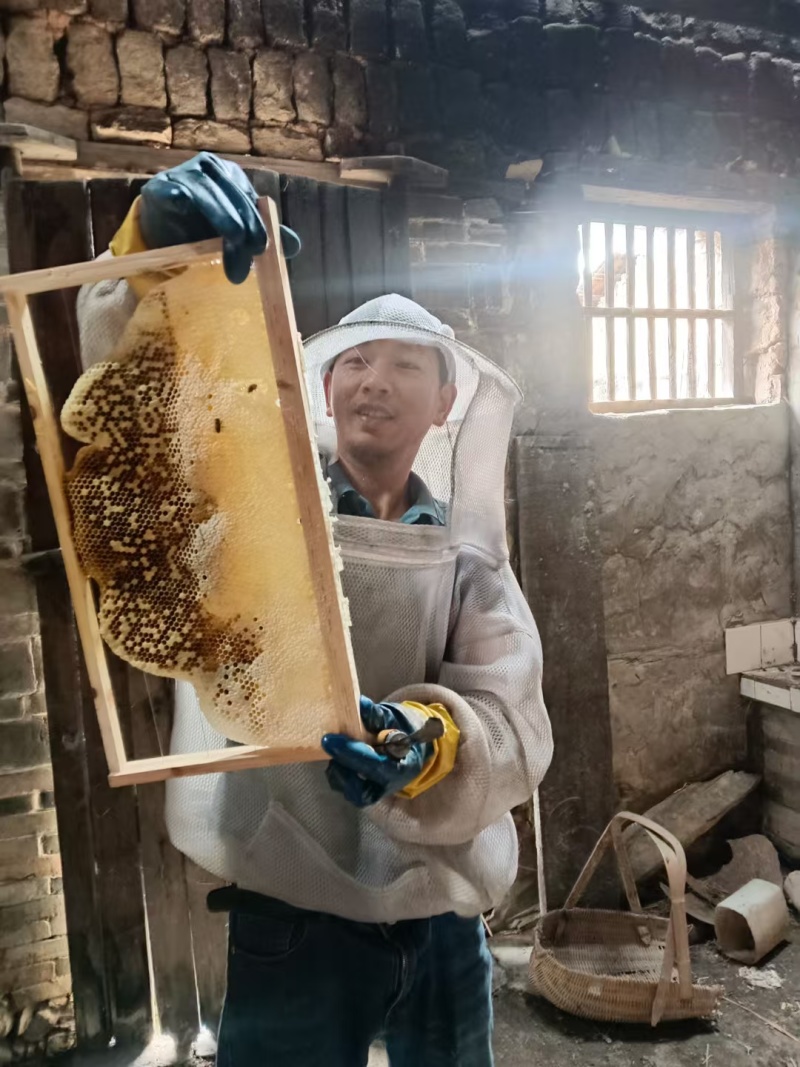 土蜂蜜