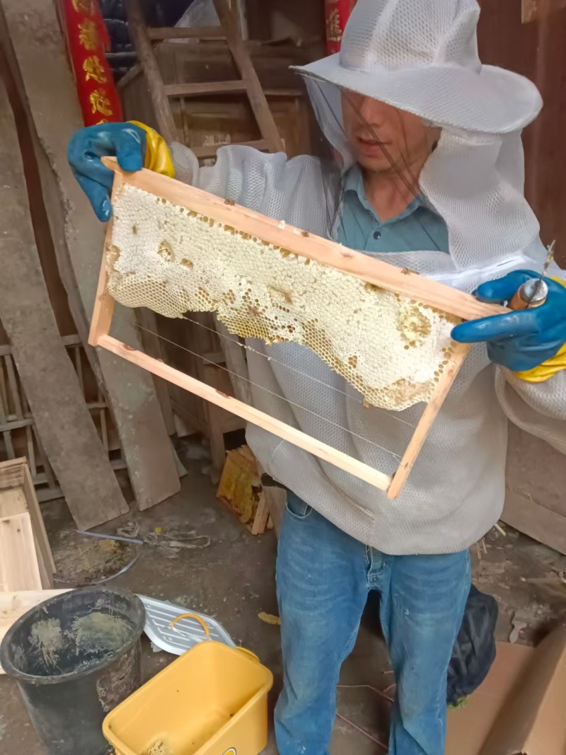 土蜂蜜