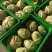 湖北荆门沙洋县扁包菜大量有货品质保证价格便宜欢迎咨询合作