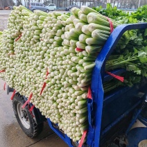 芹菜