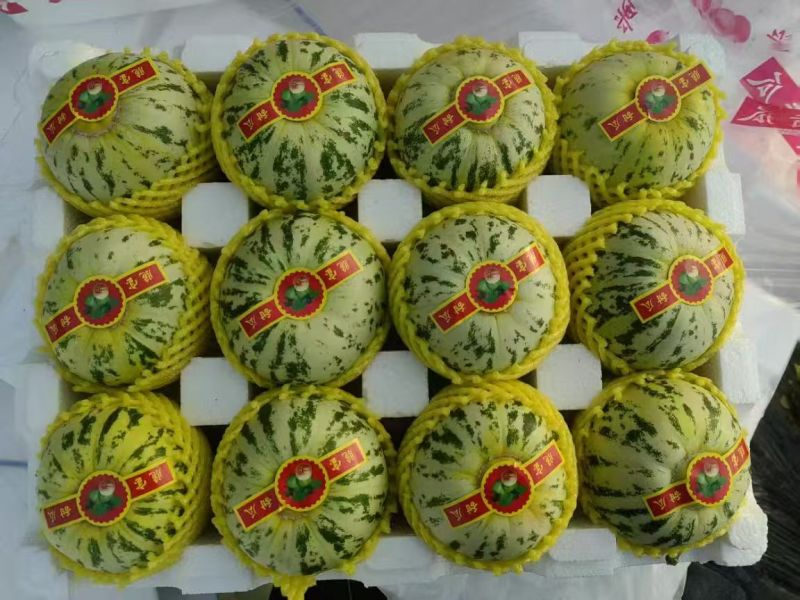 【重磅推荐】花美人甜瓜/花蕾甜瓜/产地直发/量大从优