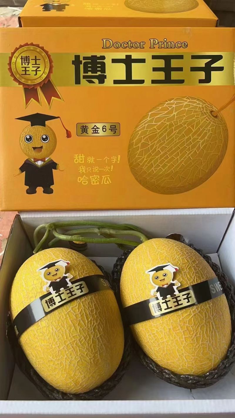 【重磅推荐】莘县凤金6号哈密瓜对接商超批发电商/量大从优